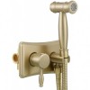 Brushed Gold Hot and Cold Bidet Sprayer Head Handheld Diaper Sprayer Shattaf Bidet Attachment for Toilet