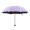 DX086 purple 