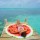 Round Towel Co. Watermelon Round Beach Towel 100% Cotton Roundie Gigantic Fruit Beach Blanket Melon Boho Terry Cloth Circle Towel 59 in