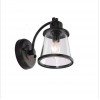 Charlie Outdoor Indoor Wall Sconce, LED Bulb Included, Black, Clear Seeded Glass Shade