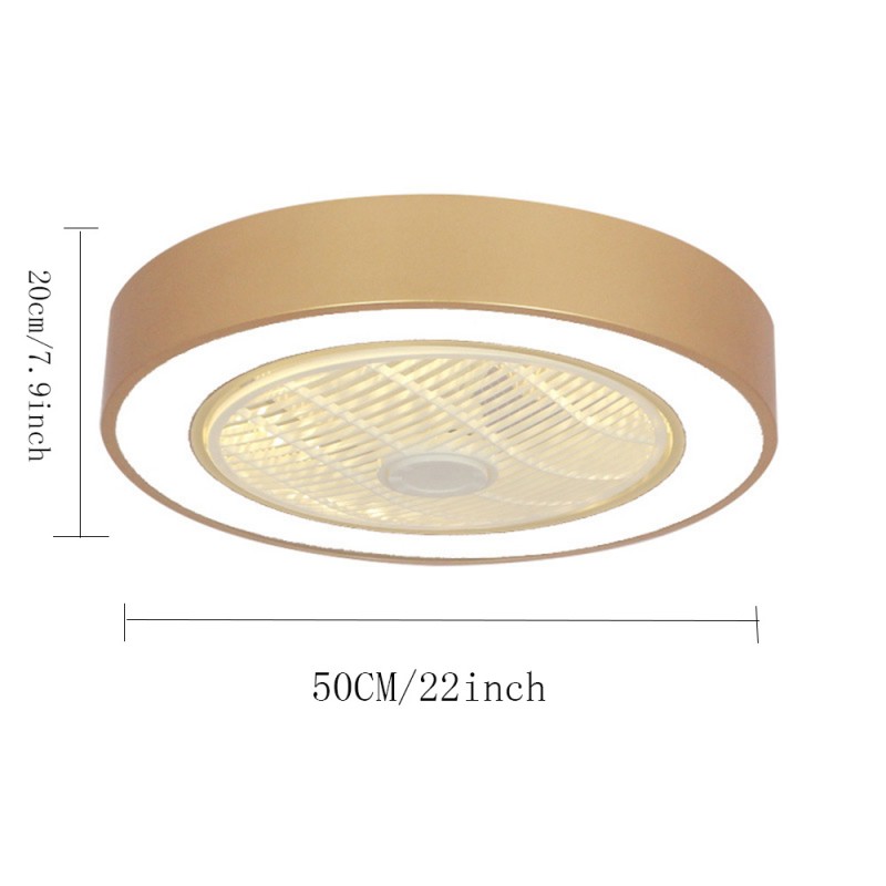 Ceiling Fan With Lights